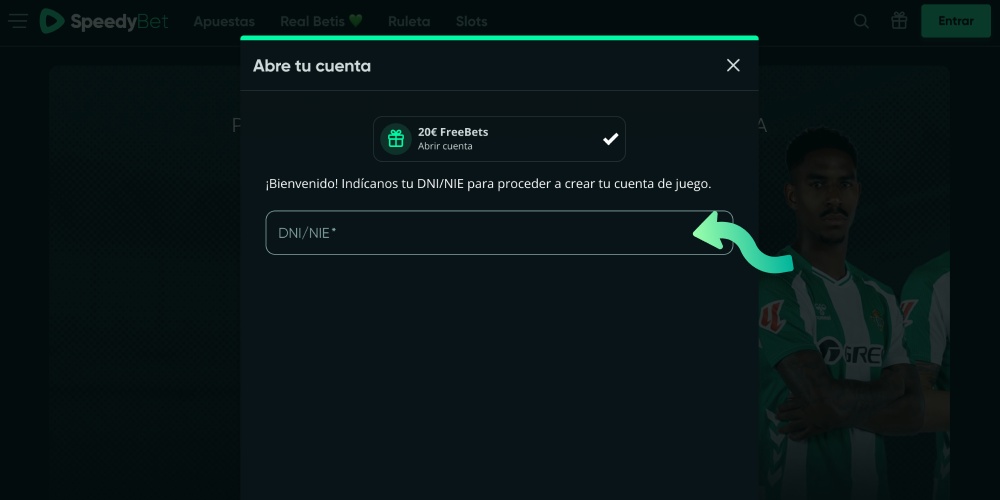Ingresar el número DNI