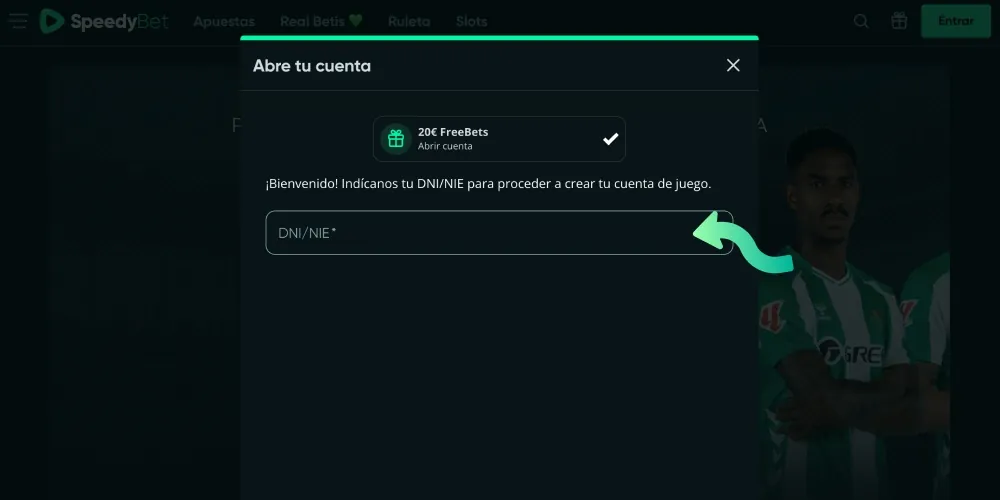 Ingresar el número DNI